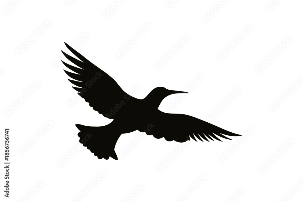 Fototapeta premium Flying Bird Silhouette Isolated on transparent Background with Wings Spread