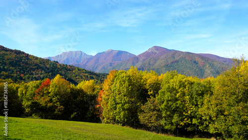 Il tappeto di foglie cadute e i colori del foliage autunnale nei boschi dell'Appennino emiliano-romagnolo al Passo Tre Croci, al confine con la provincia di Toscana tra Pistoia e Porretta Terme, Emili
