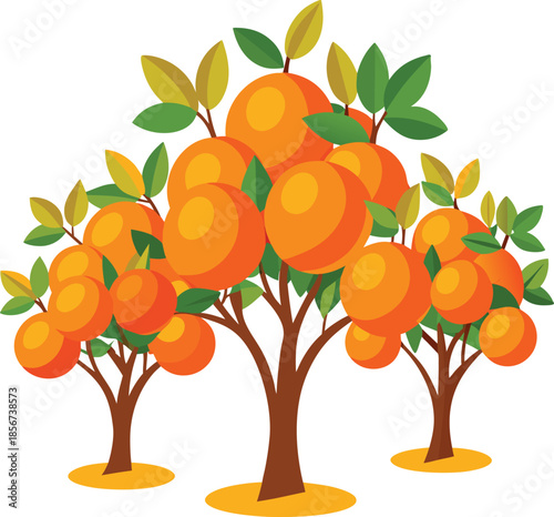 Orange trees isolated on white transparent background 4