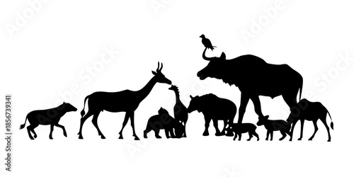 horses on the meadow