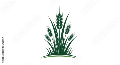Green Wheat Grain Stalks Vector Logo. Organic Farm Crop Emblem for Bakery, Agriculture, Natural Food Product Packaging Design.