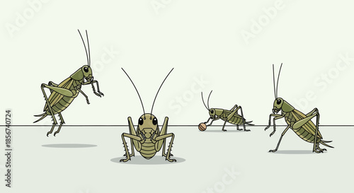 Grasshoppers playing basketball with transparent background