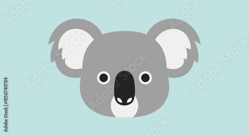 Koala face portrait with transparent background