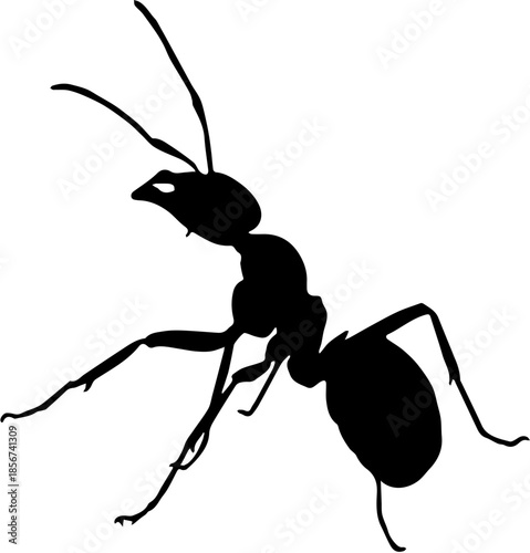 ant silhouette isolated on white background illustration design 