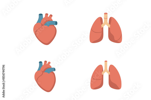 Human Heart and Lungs Icons