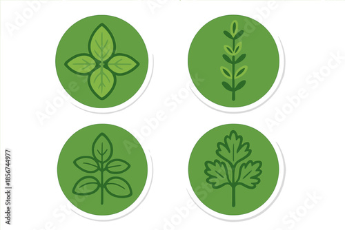 Four stylized green herb icons on a gradient background