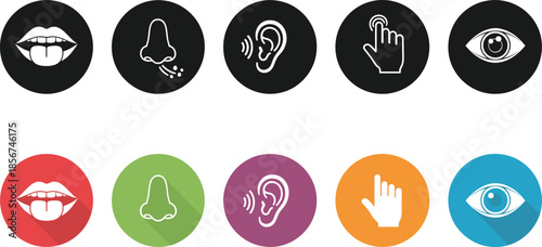 Human senses icon set featuring sight, hearing, touch, smell, and taste symbols in colored circular designs