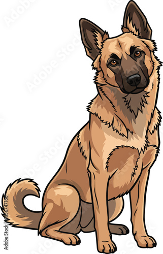 Mudi dog sitting tilting head curious attentive pose