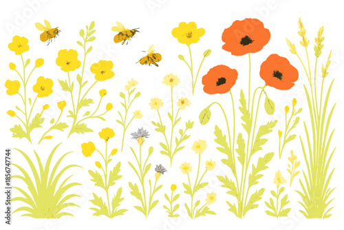 Bees and poppies in a meadow