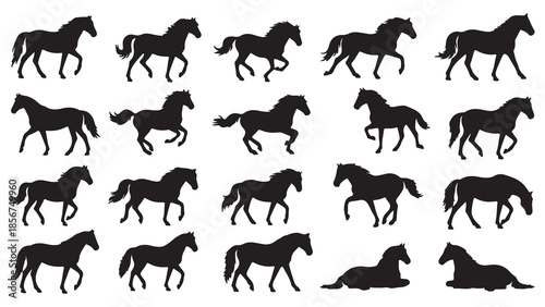 Horse Silhouette Collection with Different Poses Flat Vector