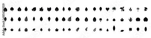 Leaf Icon Set Nature Botanical Silhouette Collection