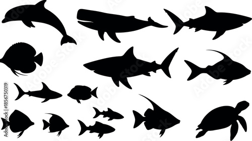 Black silhouettes of various marine animals on a white background
