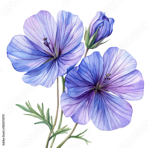 Honesty Flower, vibrant watercolor vector, isolated on a white background, high quality and detailed design.
