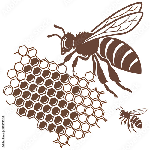 Honey honeycomb food transparent background