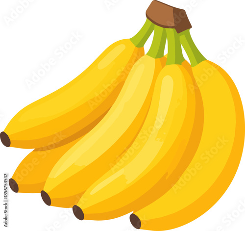 Bright Yellow Bananas Bunch Vector Illustration Isolated on White Background - Healthy Tropical Fruit Icon and Graphic Element for Food Design
