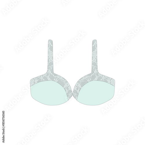 lace bra vector