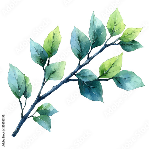Bouvardia Branch, watercolor illustration featuring playful movement and lively expressions, isolated on a white background.