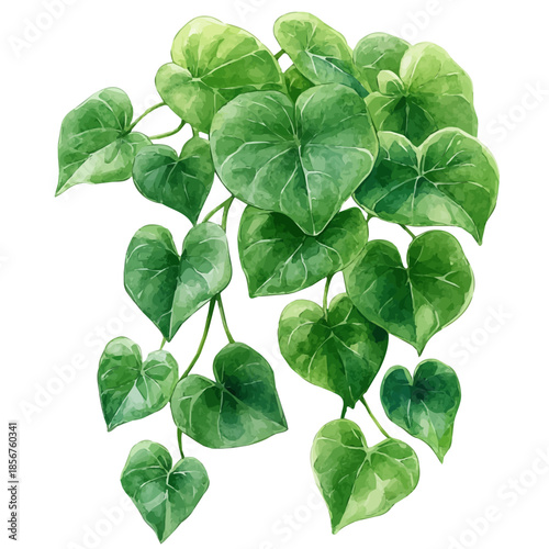 Bouvardia Branch, watercolor vector portraying a joyful pose with colorful highlights, isolated on a white background.