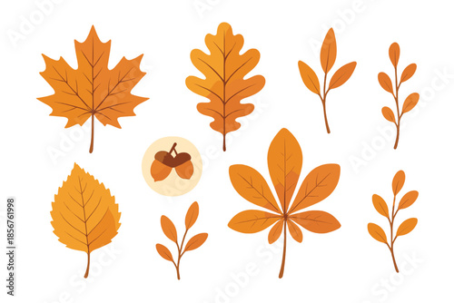 Autumnal background with acorns and falling leaves