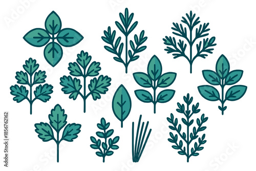 Collection of stylized herb illustrations