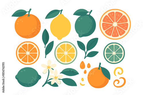 Citrus Fruits and Blossoms with Glowing Gradient Background
