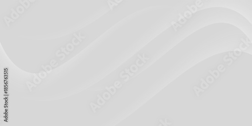 White Background,Shadow,light texture on grey wall studio room,Backdrop sunlight effect from window,tree shadow overlay on floor,Vector scene platform podium for Spring,Summer for product presentation