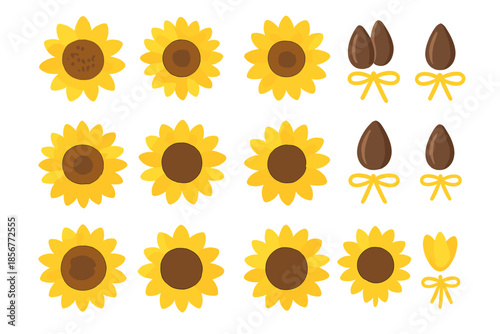 Bright Sunflower and Seed Pattern