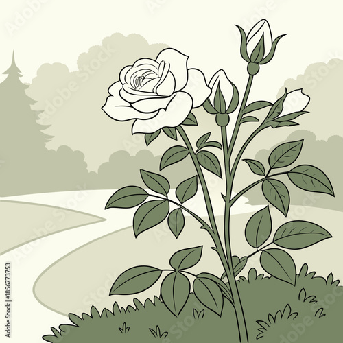 A delicate illustration depicts a blooming white rose with a bud set against a softly sketched garden landscape backdrop