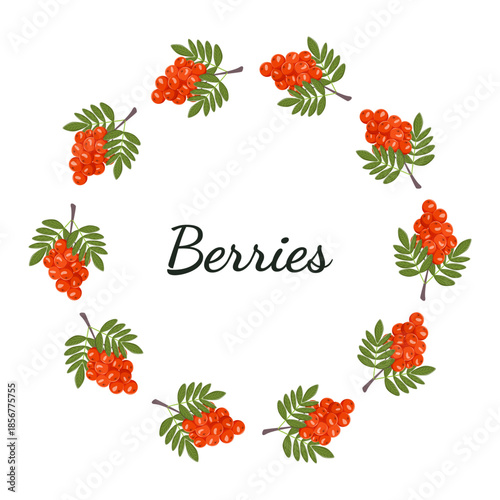 Circular frame made of rowan berries and green leaves. Botanical wreath for autumn design, invitations, seasonal branding, labels, greeting cards and decorative layouts.