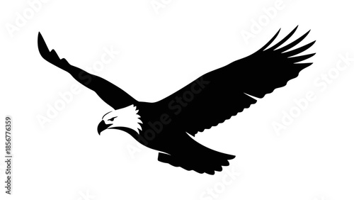 Bald Eagle Flying Silhouette Graphic Illustration.