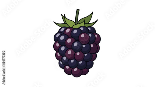 Ripe Blackberry Fruit with Green Leaves.