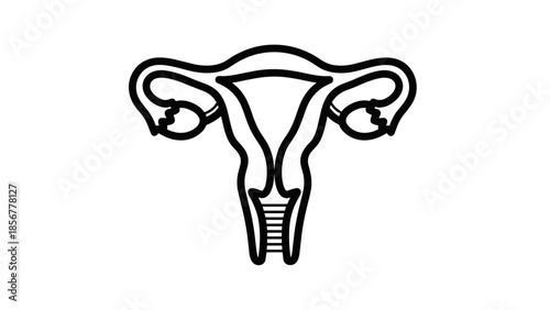 Simple Line Drawing of Uterus Anatomy.