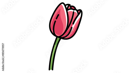 Single Pink Tulip Flower Illustration.