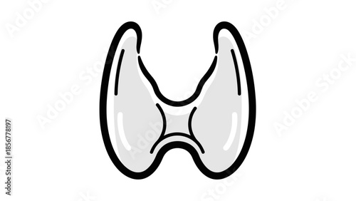 Thyroid Gland Anatomy Illustration.