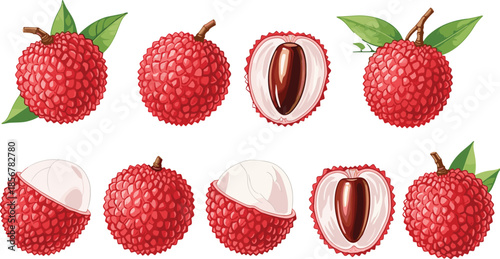 Fresh tropical lychee fruit set with whole red berries, peeled sweet aril, halved fruit with seeds, and green leaves on white