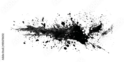 High-resolution black ink splatter on a white background, perfect for graphic design and artistic projects.