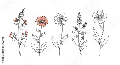 Set of five hand drawn wildflower sketches with delicate line work and soft pink highlights on a clean white background for art.