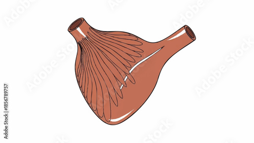 Anatomical Illustration of the Human Pectoral Muscle Showing Striations and Tendon Attachments