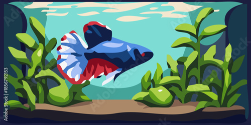 fish in the aquarium