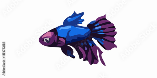Betta fish