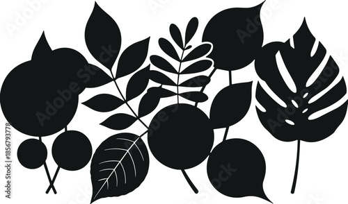 Botanical leaves silhouettes collection, tropical foliage shapes, modern nature decoration elements, black vector illustration isolated on white background design set