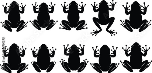 Top View Silhouettes of Frogs with Unique Webbed Feet for Wildlife, Nature, Zoology, Amphibian, Biology, and Pattern Recognition Themes