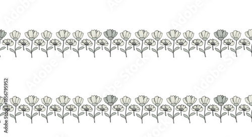 Elegant border design featuring a continuous row of hand-drawn daisies with stems in soft grey tones on a white background.