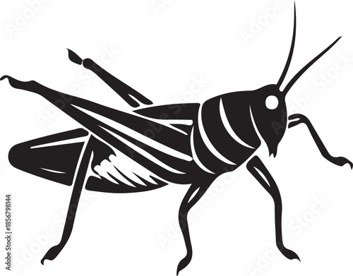 Vector illustration of a green grasshopper silhouette and macro locust insect isolated on a white background featuring close-up details of its antenna and legs as the wild jumping creature