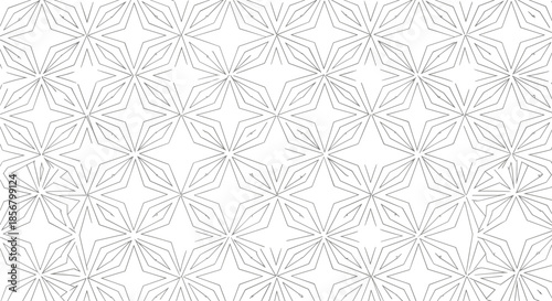 Intricate geometric star pattern formed by intersecting dashed and solid black lines on a white background for elegant decor.