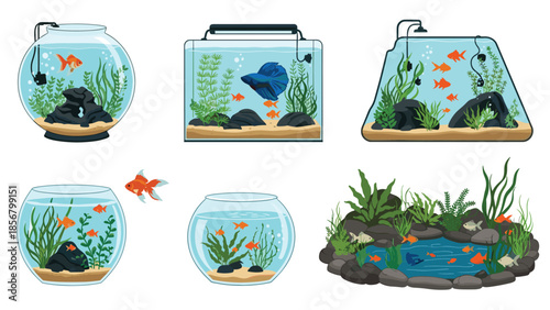 A charming collection of six different aquariums and fishbowls, each uniquely decorated with aquatic plants, rocks, and colorful fish.