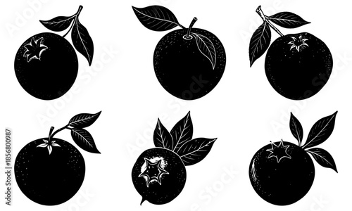Five black apples with white leaves and star-shaped cores on a white background silhouette leaf
