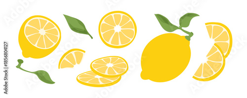 Yellow whole lemon, half and slices isolated on white. Fresh citrus fruit set. Ingredient for making lemonade. Hand drawn vector illustration.