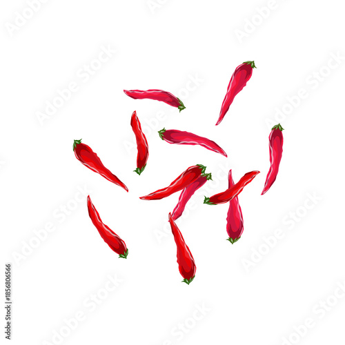 red hot chili pepper without background