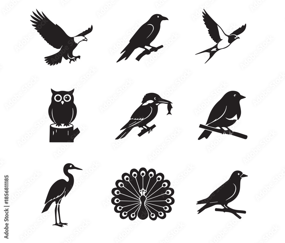 Fototapeta premium Bird Vector Icon Set - Minimalist Eagle, Owl, Peacock, and Songbird Wildlife Silhouette Collection